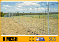 ASTM A121 15cm Hinge Joint Fencing Wire Mesh Hot Dipped Galvanized