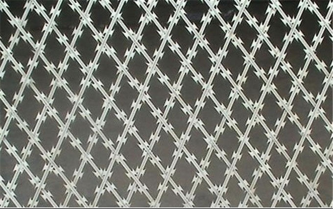 Size Customized Prison Wire Fence , Razor Wire Fence For Government Offices