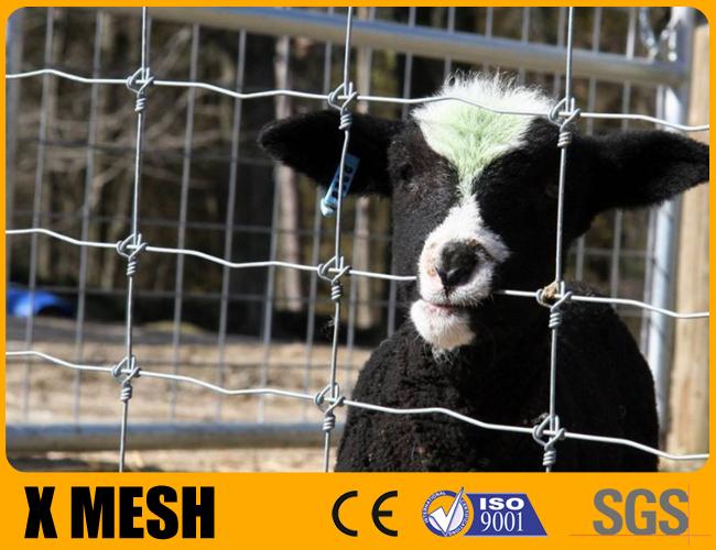 Length 50m Farm Wire Fencing Zinc Coated Goat Wire Panels