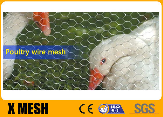 Acid Resistance 20Ga Stainless Steel Chicken Wire Fence Poultry Netting