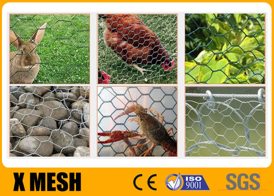 Plain Weave Poultry Mesh Netting Chicken Wire Mesh Fence 1.5m X 25m