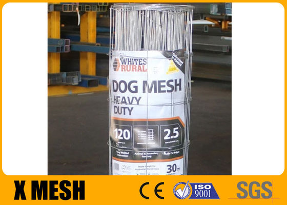 1''X2'' Stainless Welded Wire Mesh