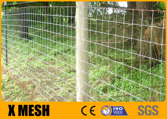 Wire 2.5mm Woven Sheep Netting 100m 550N/Mm2 Hot Dip Galvanized