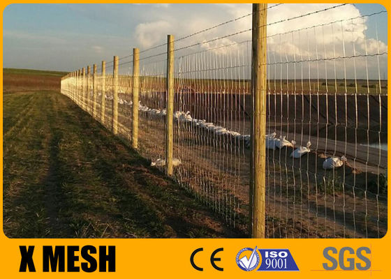 Fixed Knot Field Wire Fence