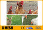 Antirust Galvanized Hexagonal Chicken Mesh Rabbit Netting Screen 0.9X 30M Roll