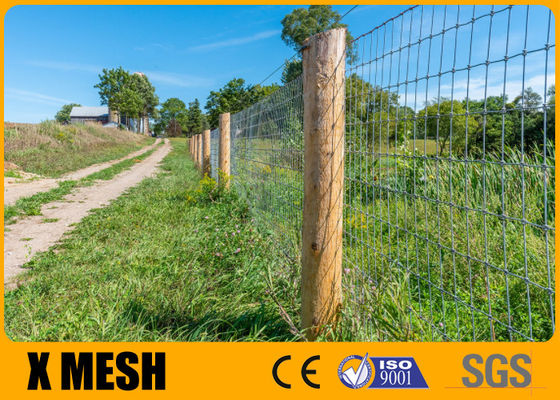 ASTM A121 Metal Farm Fence 1200 Mpa High Tensile Field Fence